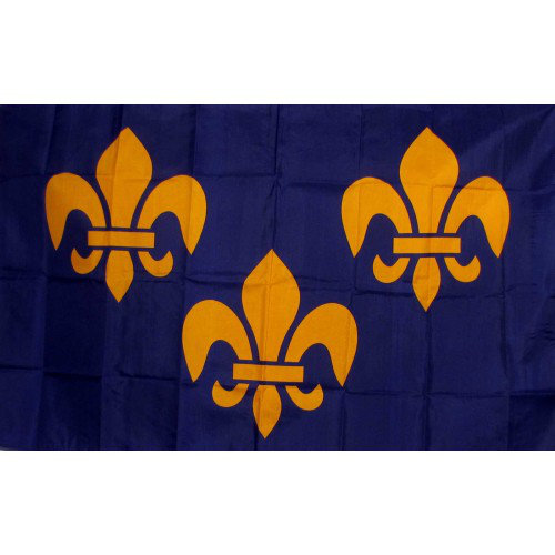 NeoPlex France Fleur De Lis 3 Traditional Flag  Wayfair